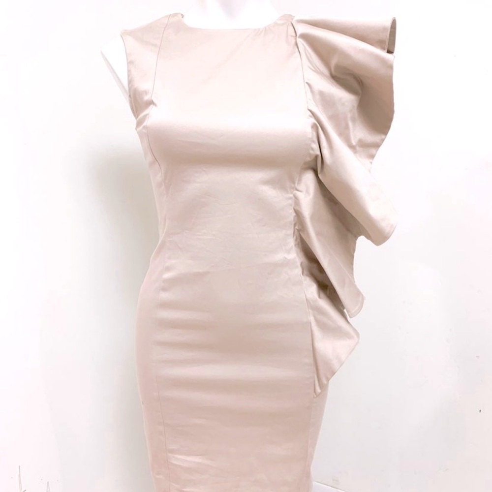 French connection Large ruffle dress